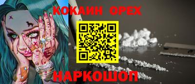ГАЛЛЮЦИНОГЕННЫЕ ГРИБЫ Гусев