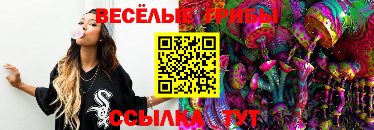 Галлюциногенные грибы Magic Shrooms Сухой Лог