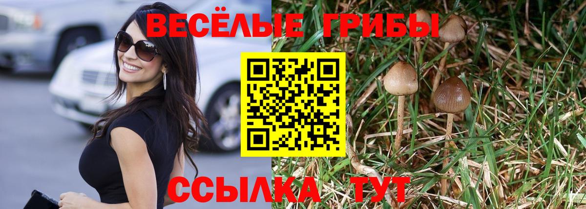 Сухой Лог  Псилоцибиновые грибы мухоморы  Вход с VPN 
